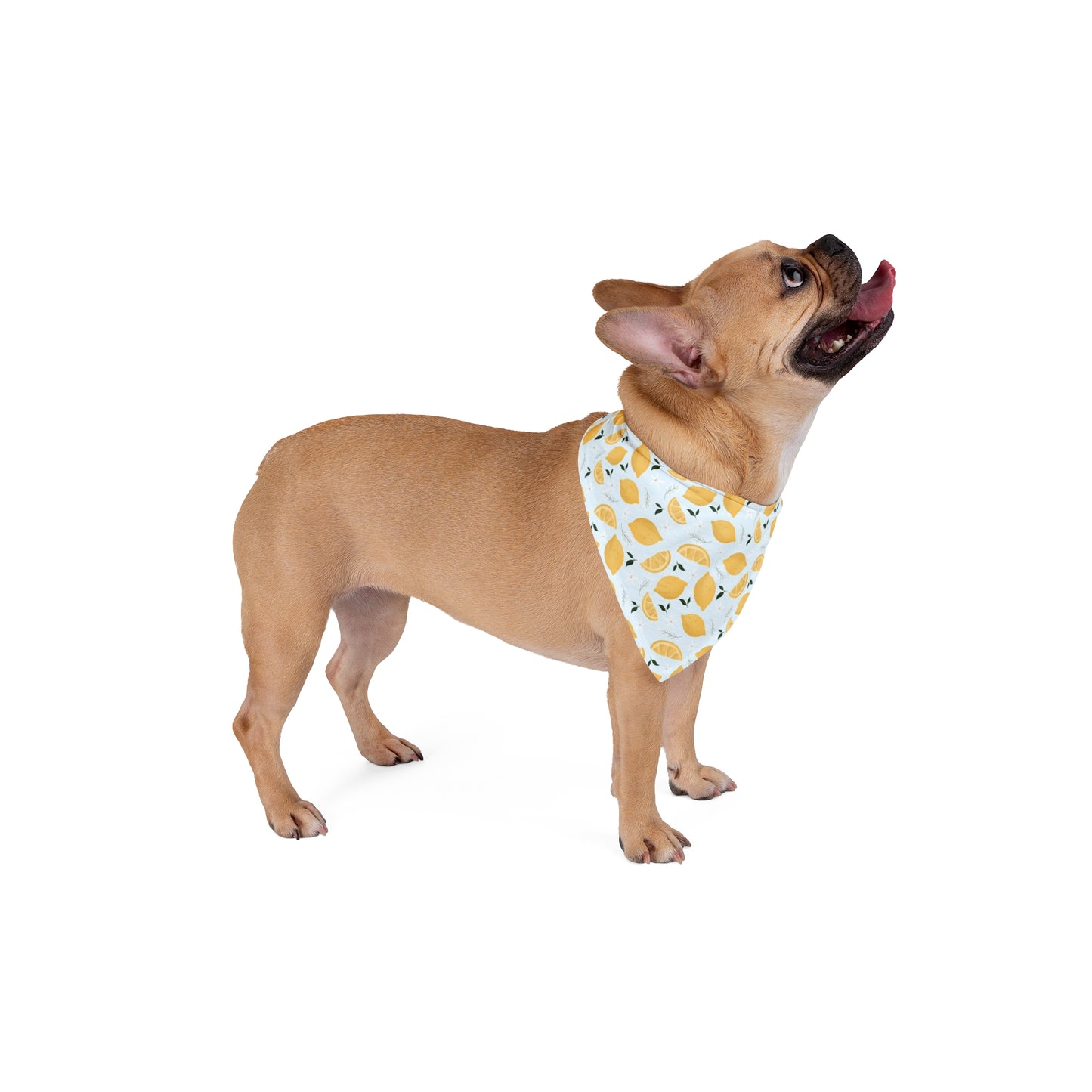 Zesty Lemon Pet Bandana