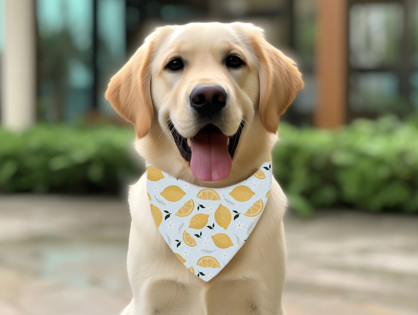 Zesty Lemon Pet Bandana